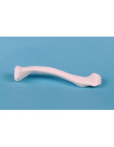 Erler Zimmer, modello...