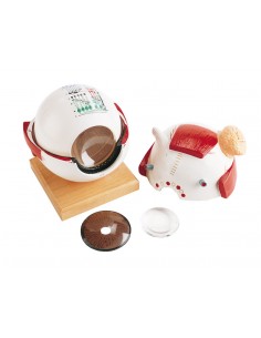 Erler Zimmer,  modello... 2