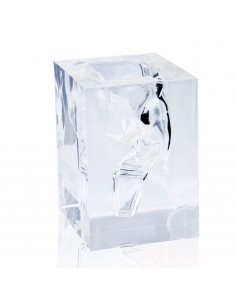 Erler Zimmer, modello...