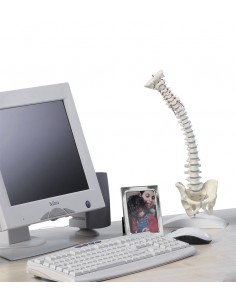 Erler Zimmer, colonna... 2