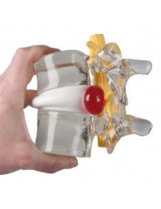 Erler Zimmer, simulatore di...