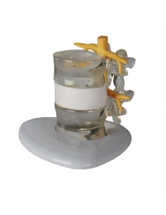 Erler Zimmer, simulatore di... 2