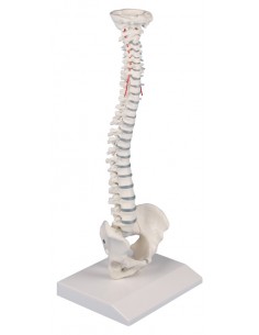 Erler Zimmer, colonna...