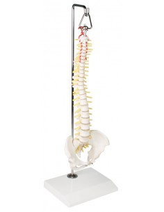 Erler Zimmer, colonna...