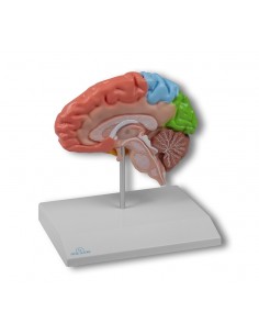 Visualizza ingrandito Erler... 2