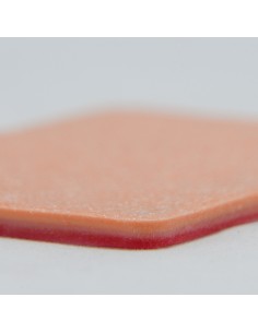 Tessuto di ratto / topo...