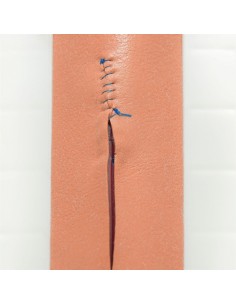 Tessuto di ratto / topo... 2