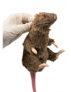 Manichino di topo Squeekums...