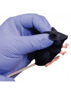 Manichino di topo Mimicky... 2