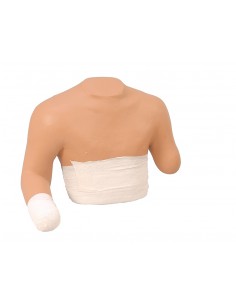 Torso umano per simulazioni...