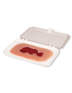 Moulage di ferita da ulcera...