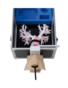 Simulatore per broncoscopia...