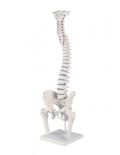 Erler Zimmer, modello di...