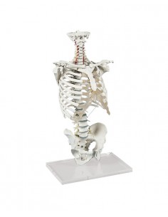 Erler Zimmer modello di...