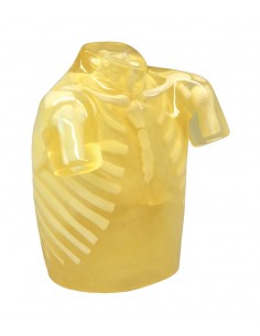 Simulatore per radiologia -...