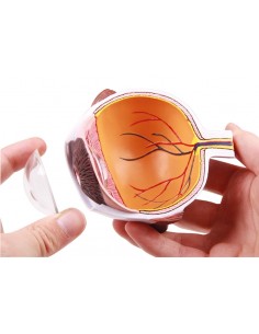 Erler Zimmer,  MetÃ...