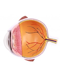 Erler Zimmer,  MetÃ... 2