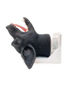 Testa di cane per... 2