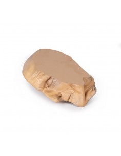 Sezione sagittale della... 2