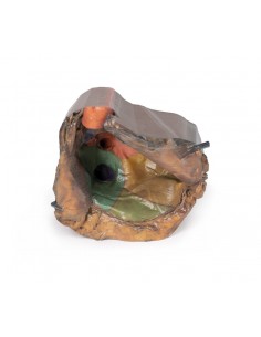 Spazio pericardico - Erler...