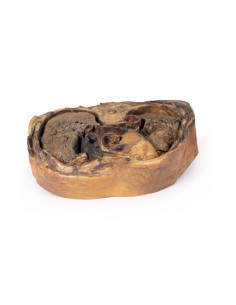 Sezione del torace sulla... 2