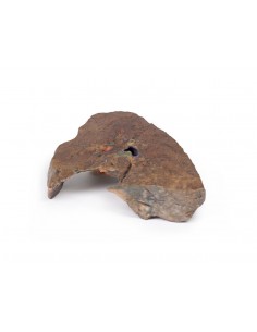 Ilo del polmone sinistro -... 2