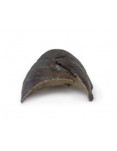 Polmone destro, ilo rimosso...