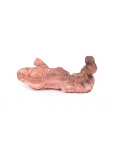 Dissezione dello stomaco -... 2