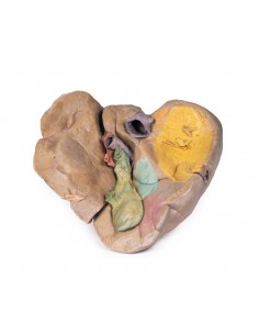 Fegato con vasi e...