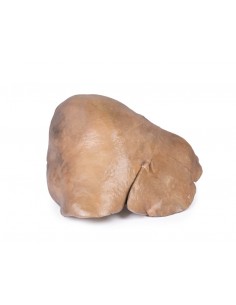 Fegato con vasi e... 2