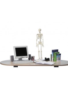 Erler Zimmer, Modello... 2