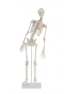 Erler Zimmer modello in...