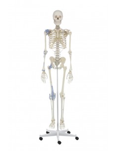 Erler Zimmer, modello...