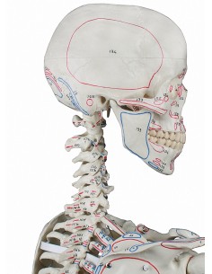 Erler Zimmer, modello... 2