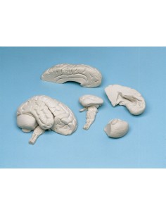 Erler Zimmer, modello...