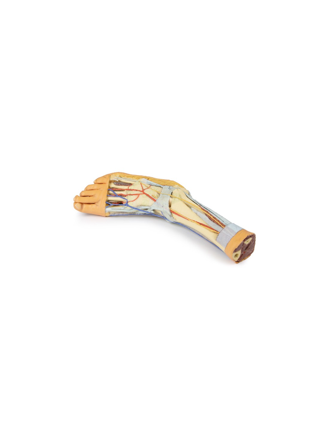 Strutture superficiali e profonde... Strutture superficiali e profonde...