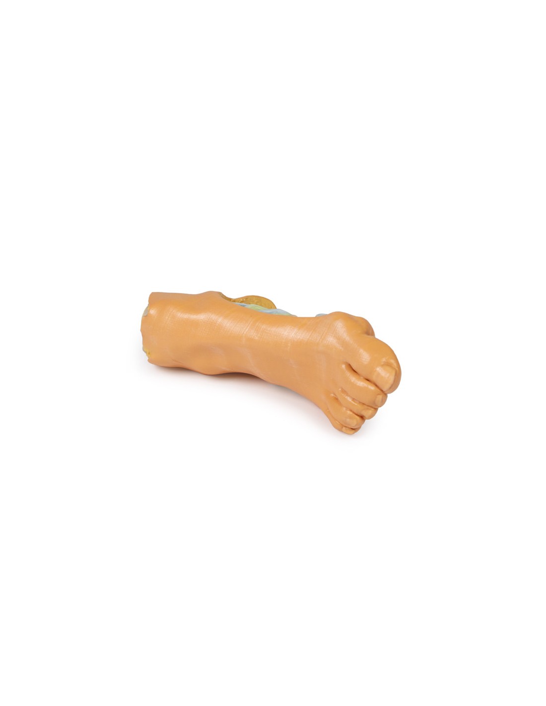 Strutture plantari profonde del piede... Strutture plantari profonde del piede...