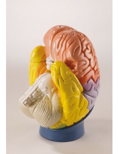 Erler Zimmer, le regioni... 2