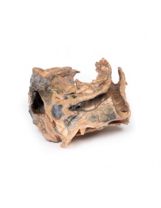 Corpo estraneo inalato:...