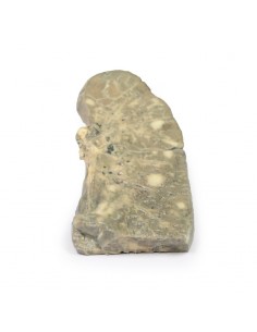 Carcinoma metastatico nel...