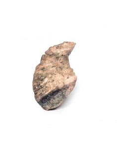 Polmone: fibrosi cistica -...