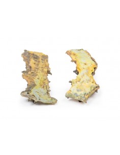 Poliposi multipla  - Erler... 2