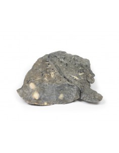 Polmone: depositi multipli...