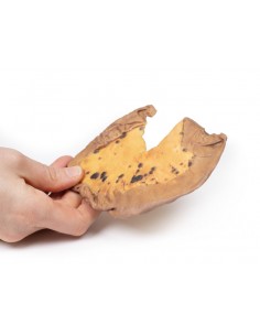 Metastasi mesenteriche da...