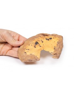 Metastasi mesenteriche da... 2