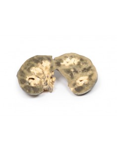 Rene a ferro di cavallo -...