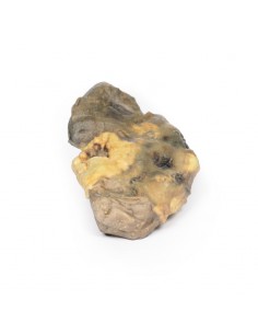 Pionefrosi - Erler Zimmer... 2