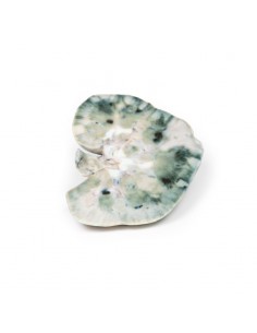 Infarto renale - Erler...