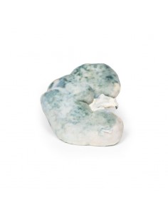 Infarto renale - Erler... 2