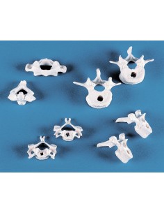 Erler Zimmer, collezione di...